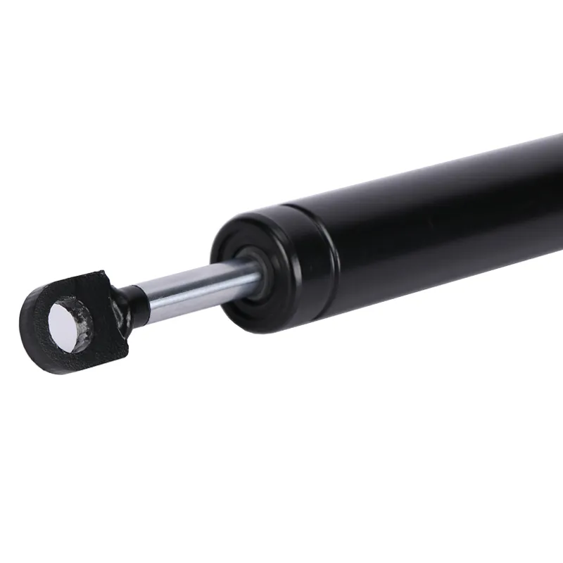 Customized steering dampers 24mm