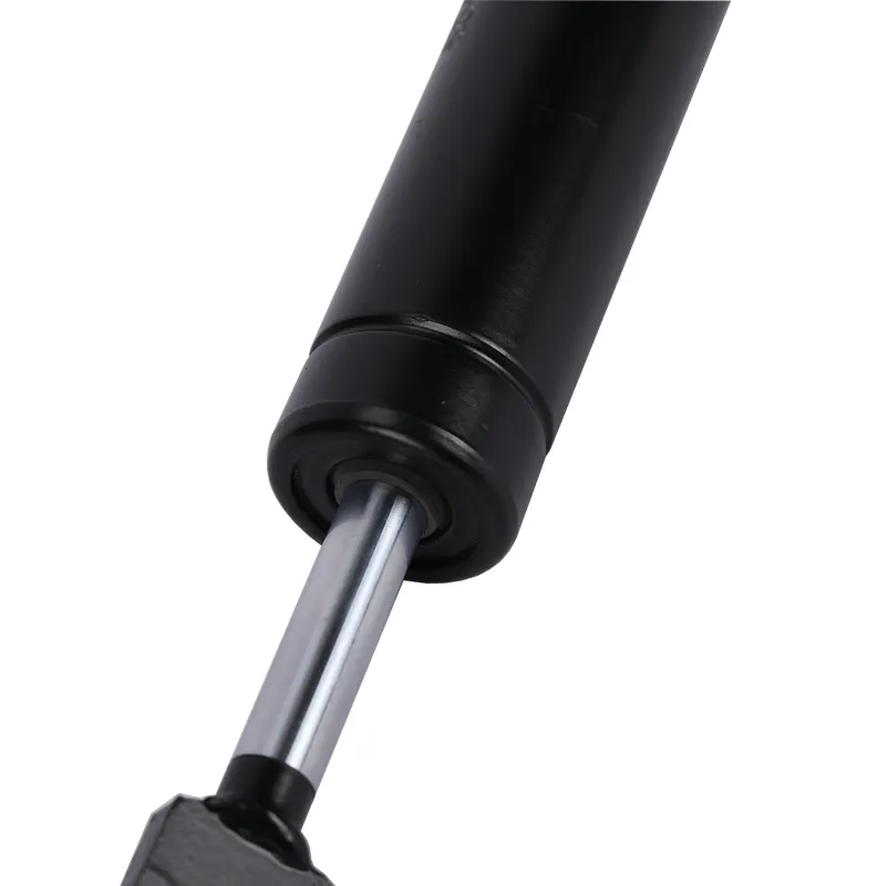 Customized steering dampers 24mm